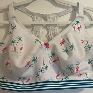 Lane Bryant Cacique Cotton No-Wire Full Coverage Bra 40H